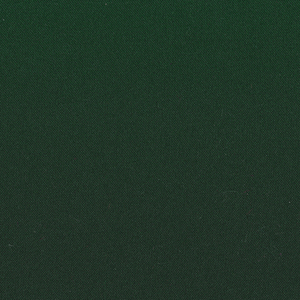  Темно-зелений DK.Green N41